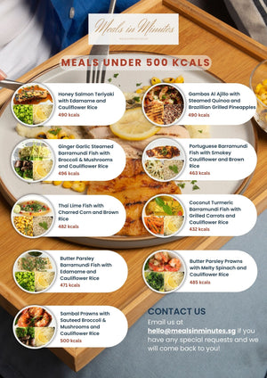 Meals Under 500 Kcals Bundle